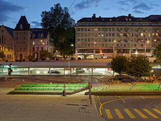 joergboner pickup flowers lausanne jardins